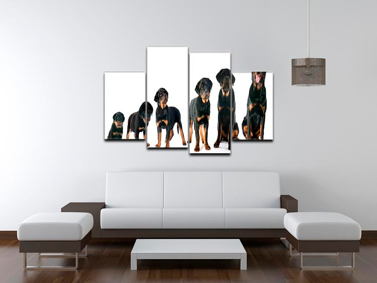 A beautiful 4-split canvas artwork featuring a purebred Rottweiler puppy, showcasing vibrant colors and intricate details.